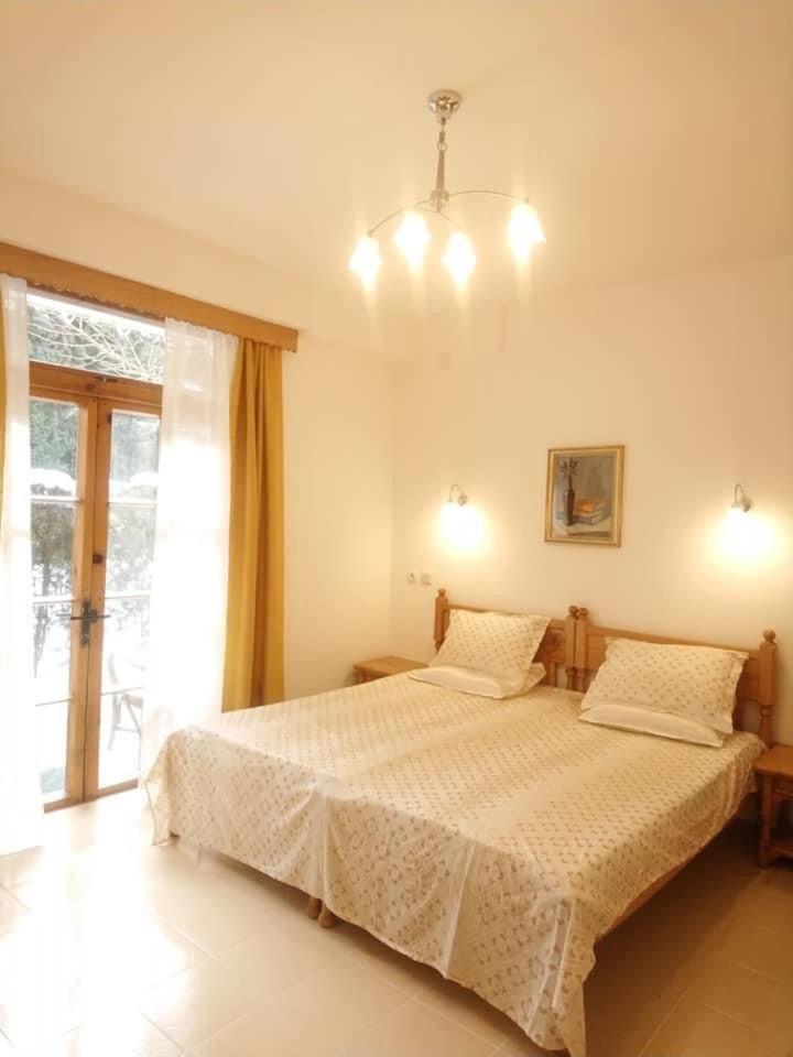 Park Hotel Amfora -Free Parking Vladaya Bagian luar foto